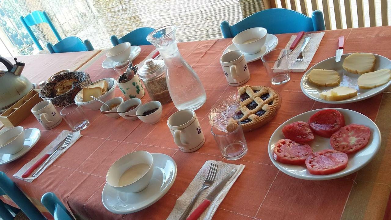 Scigliano B&B Calabria المظهر الخارجي الصورة