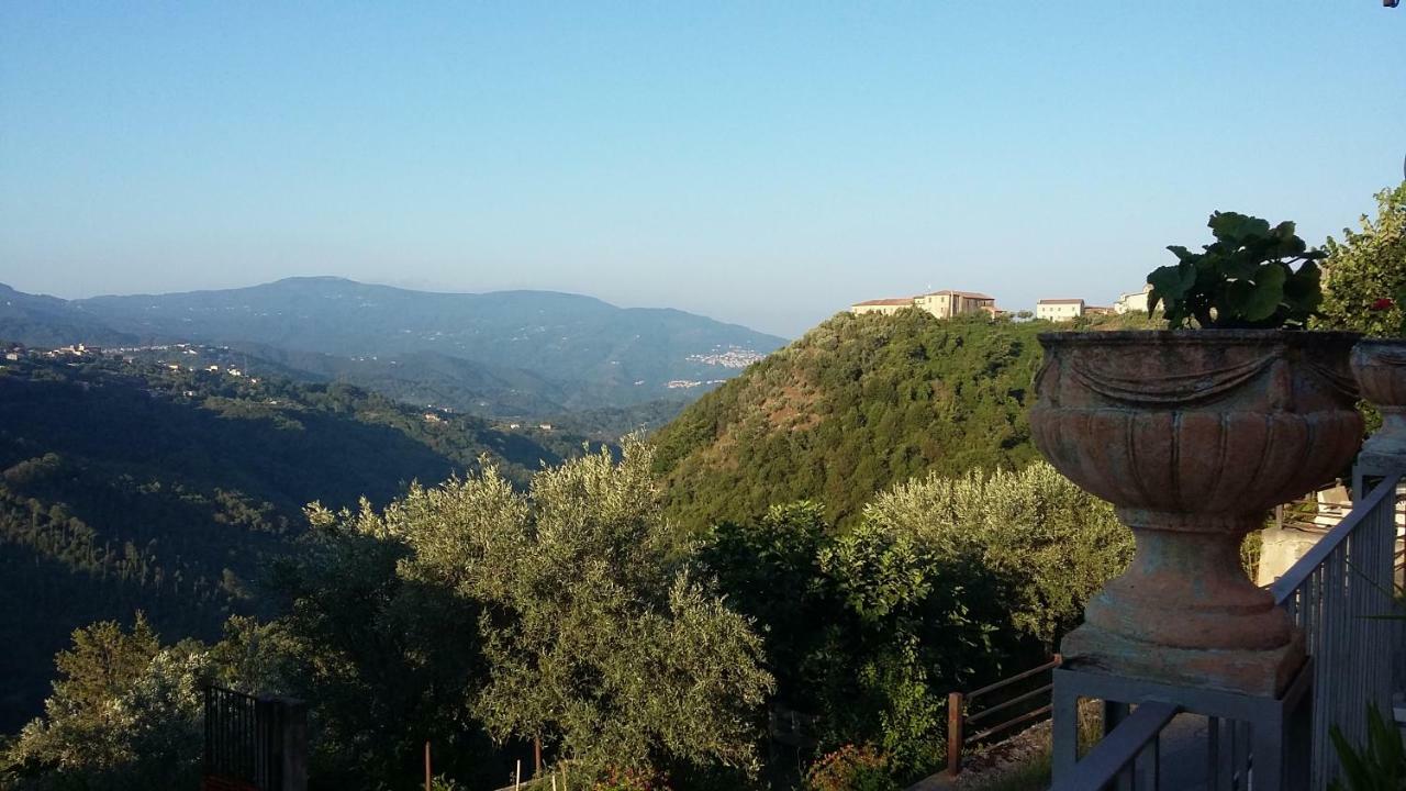 Scigliano B&B Calabria المظهر الخارجي الصورة